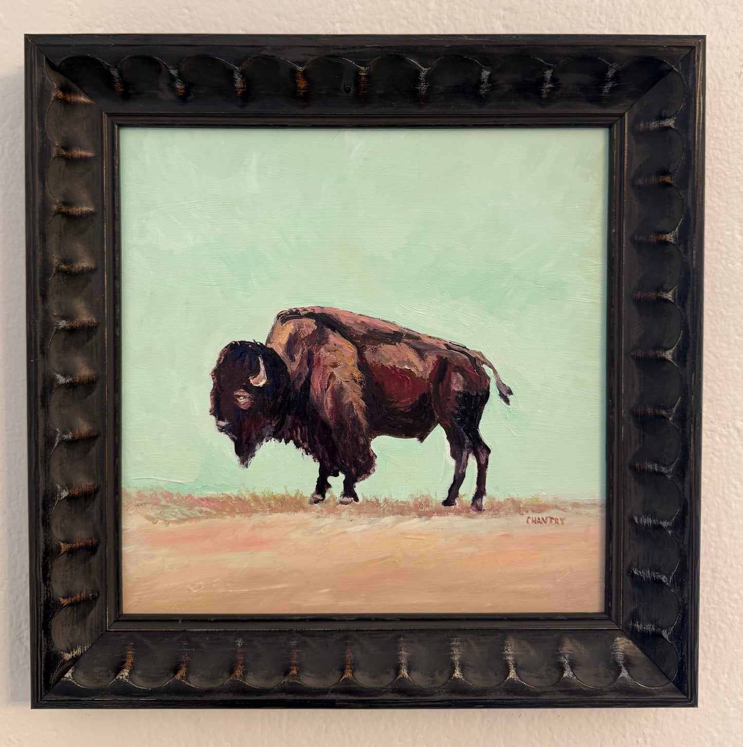 Brown Buffalo