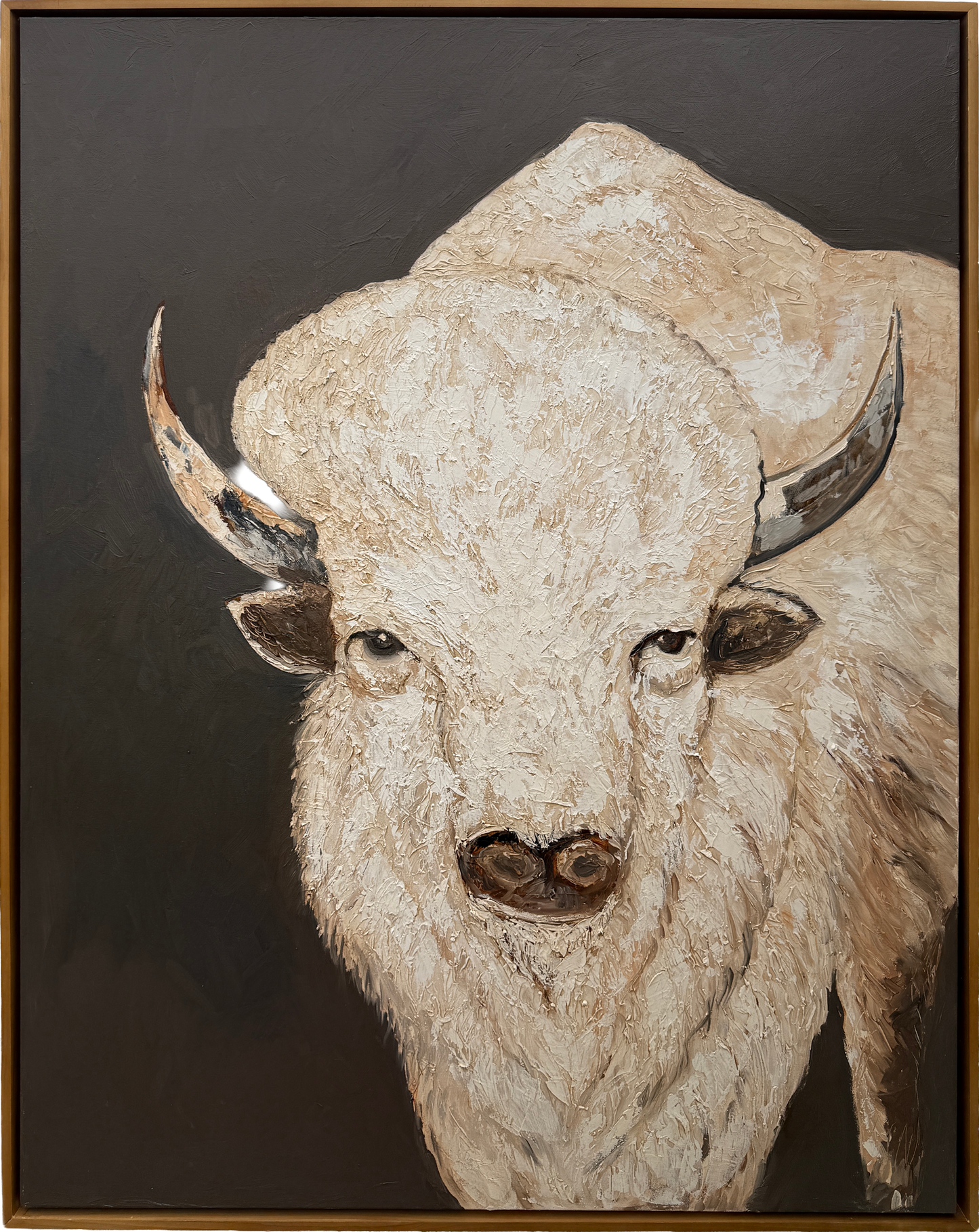 White Buffalo