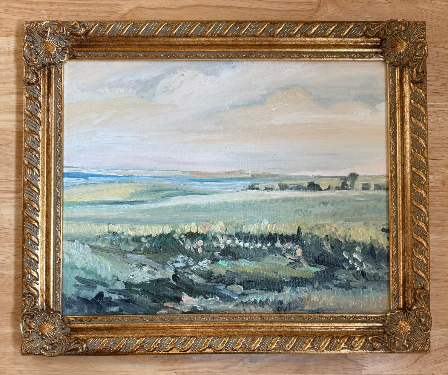 Original Oil Paintings