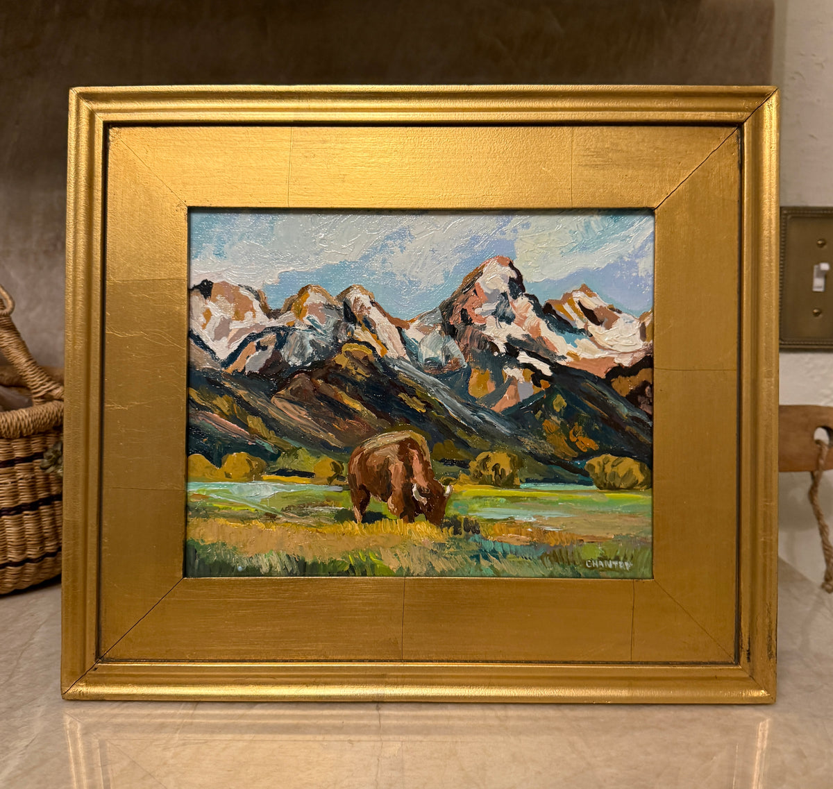 Teton Bison