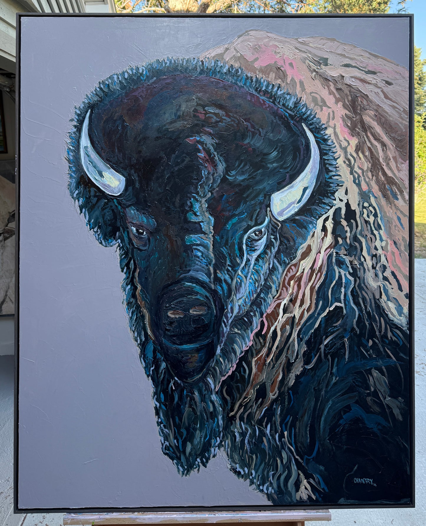 Large Blue Bison