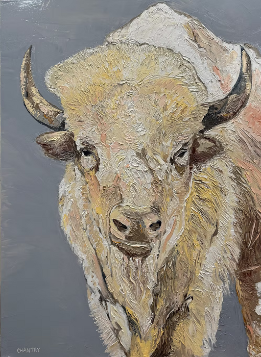 Original Oil Painting of White Buffalo -11x14 - Gold Frame
